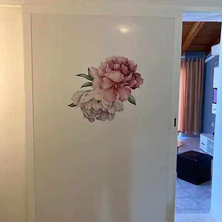 Apartments More شقة بيبينيا